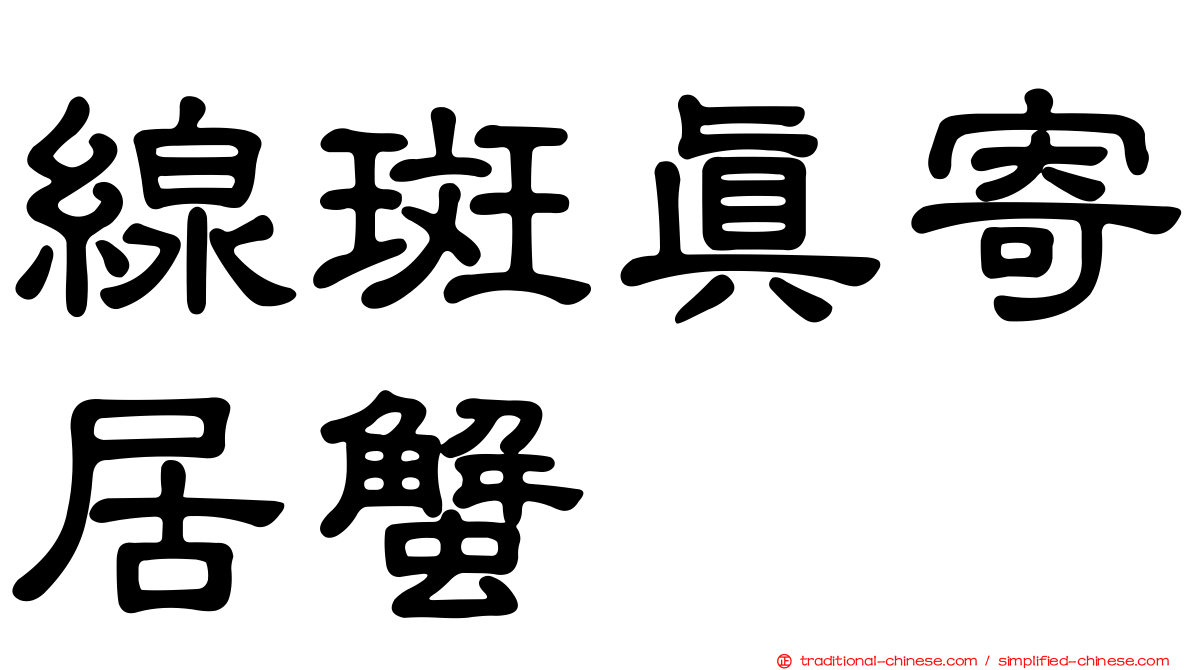 線斑真寄居蟹