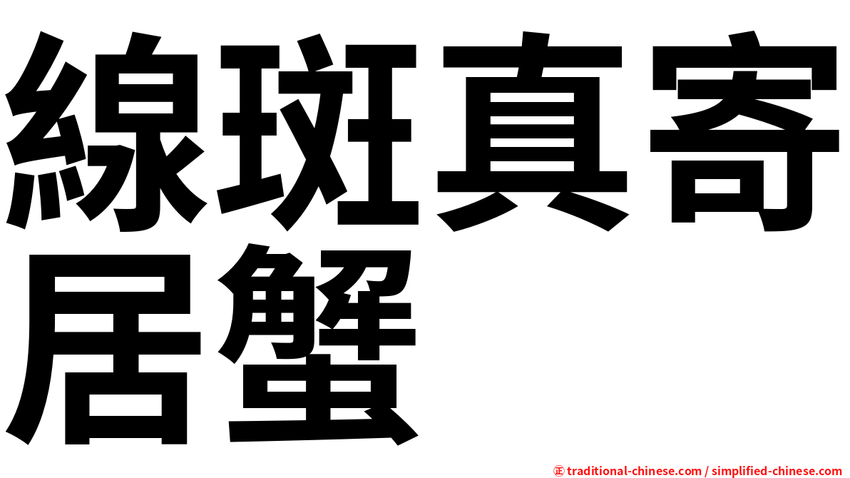 線斑真寄居蟹
