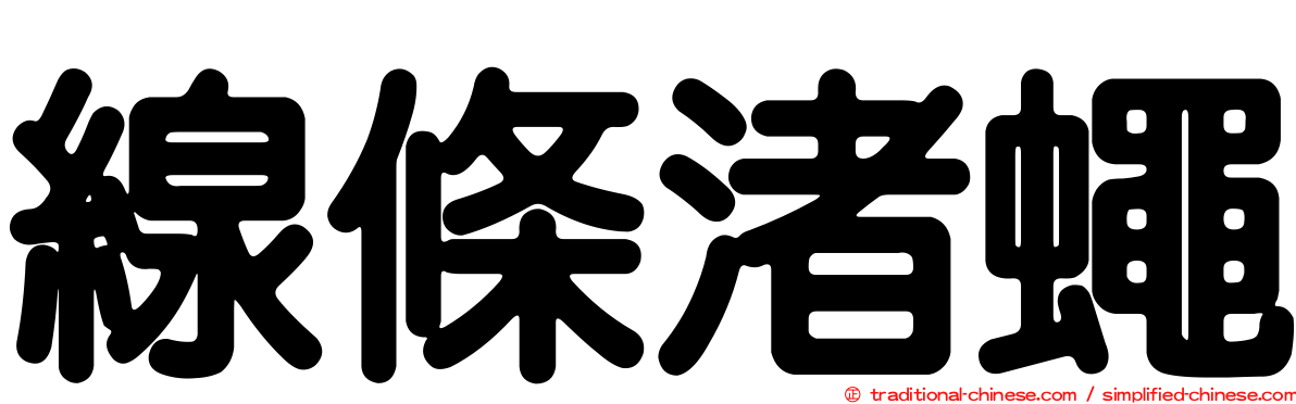 線條渚蠅