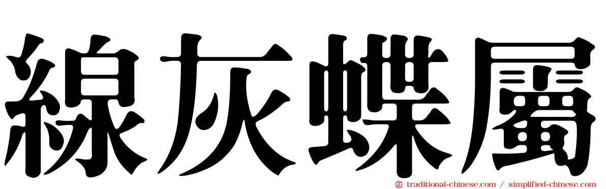 線灰蝶屬