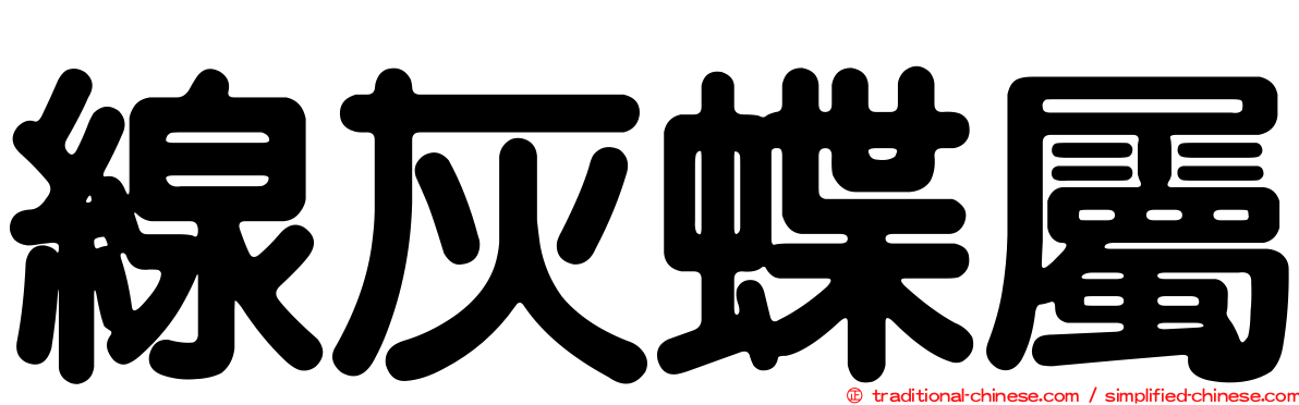 線灰蝶屬
