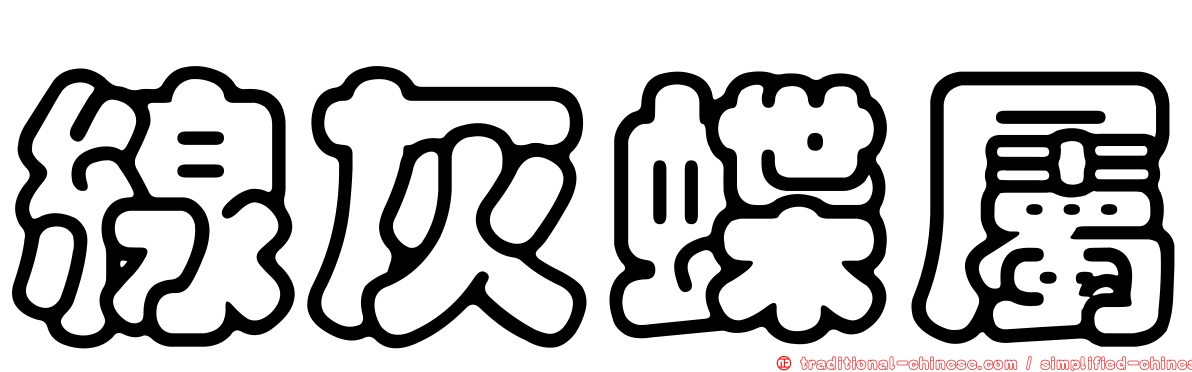 線灰蝶屬