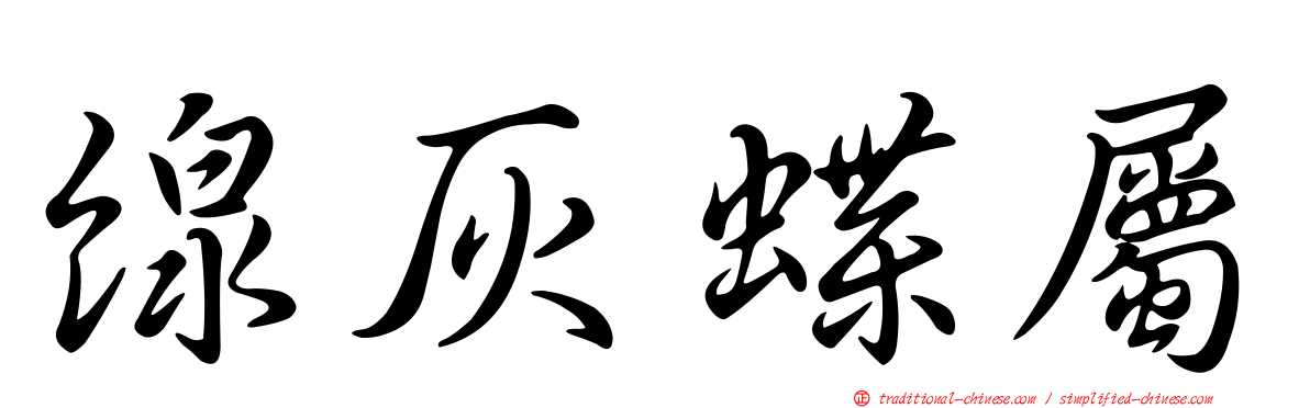 線灰蝶屬