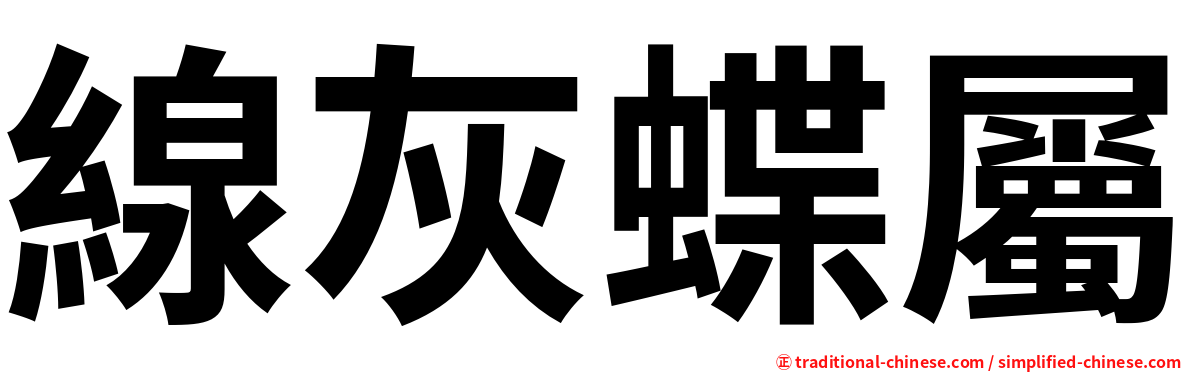 線灰蝶屬