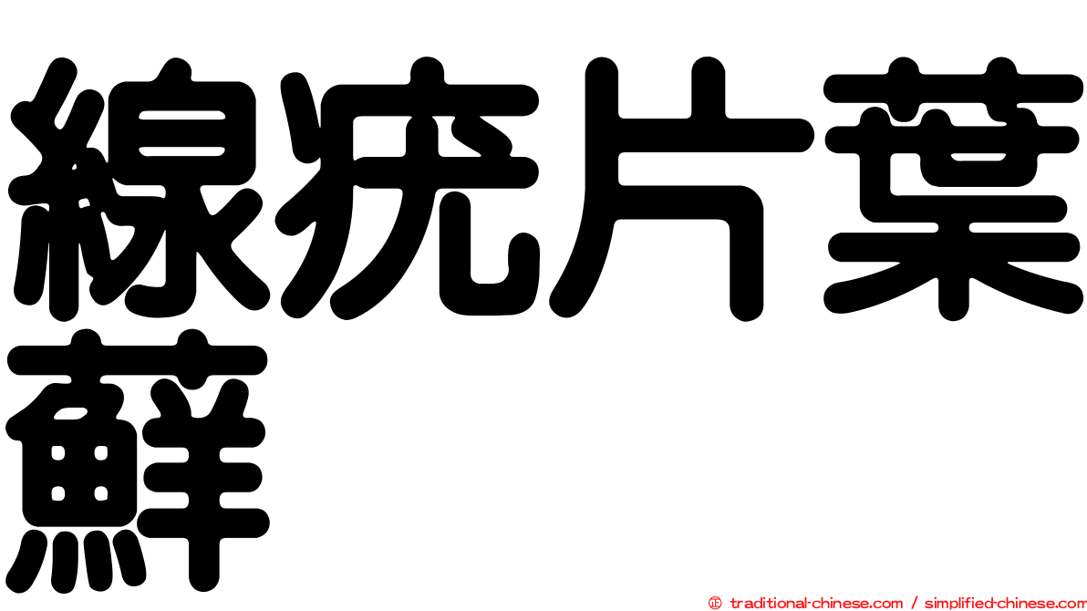線疣片葉蘚