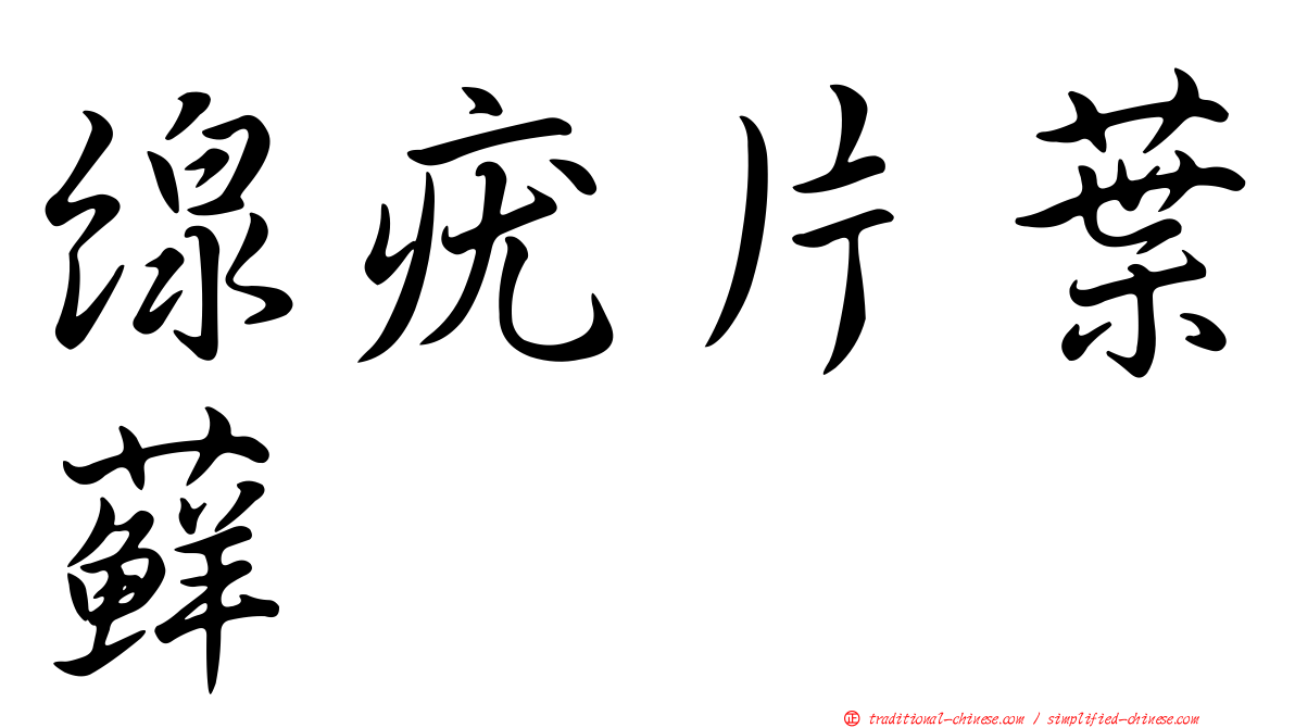 線疣片葉蘚