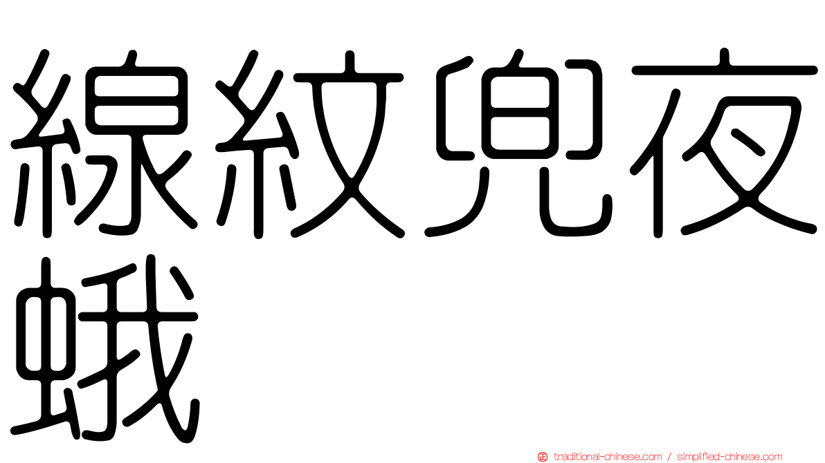 線紋兜夜蛾