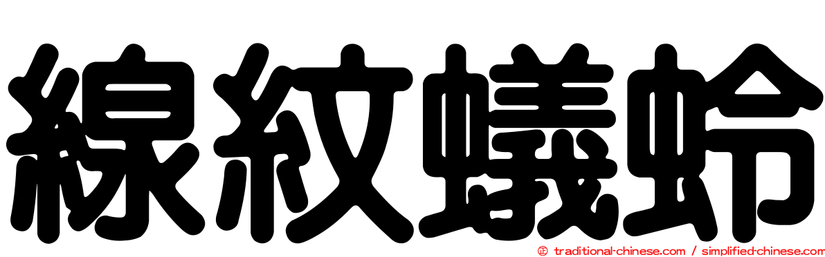線紋蟻蛉