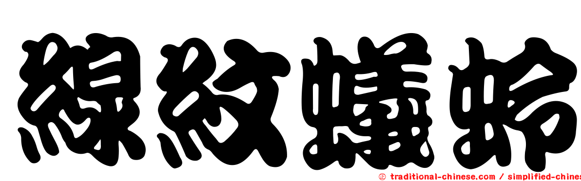 線紋蟻蛉