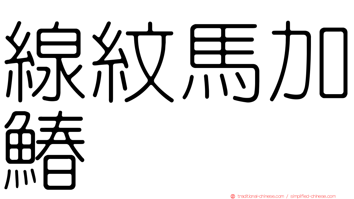 線紋馬加鰆