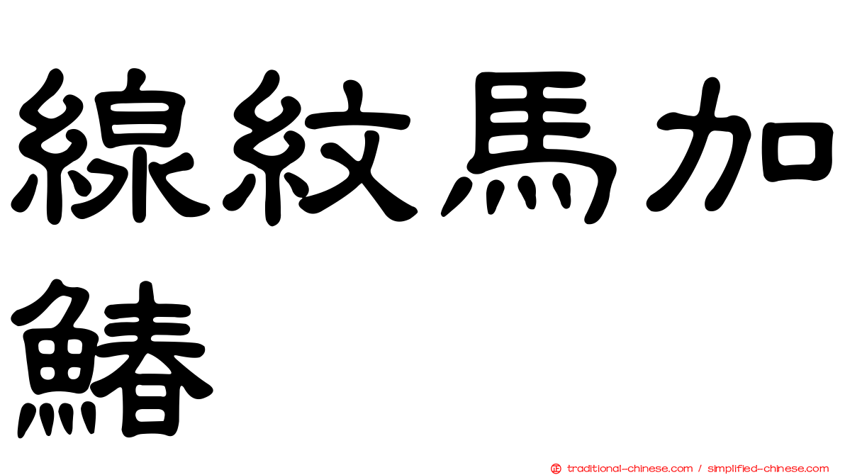 線紋馬加鰆