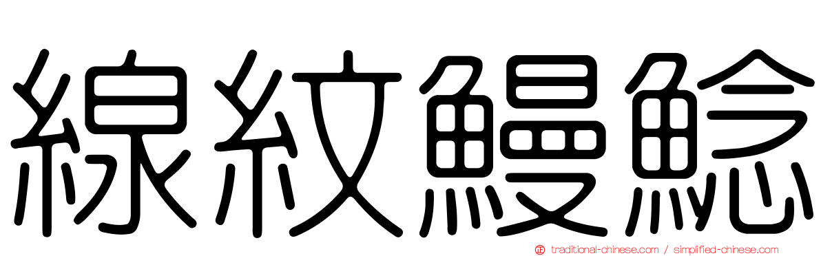 線紋鰻鯰