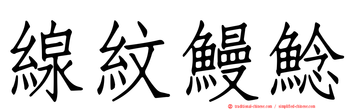 線紋鰻鯰