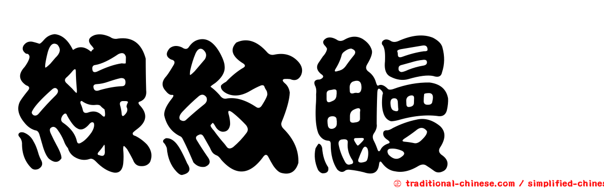 線紋鰻鯰