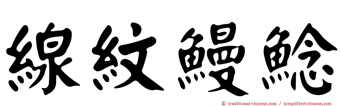 線紋鰻鯰