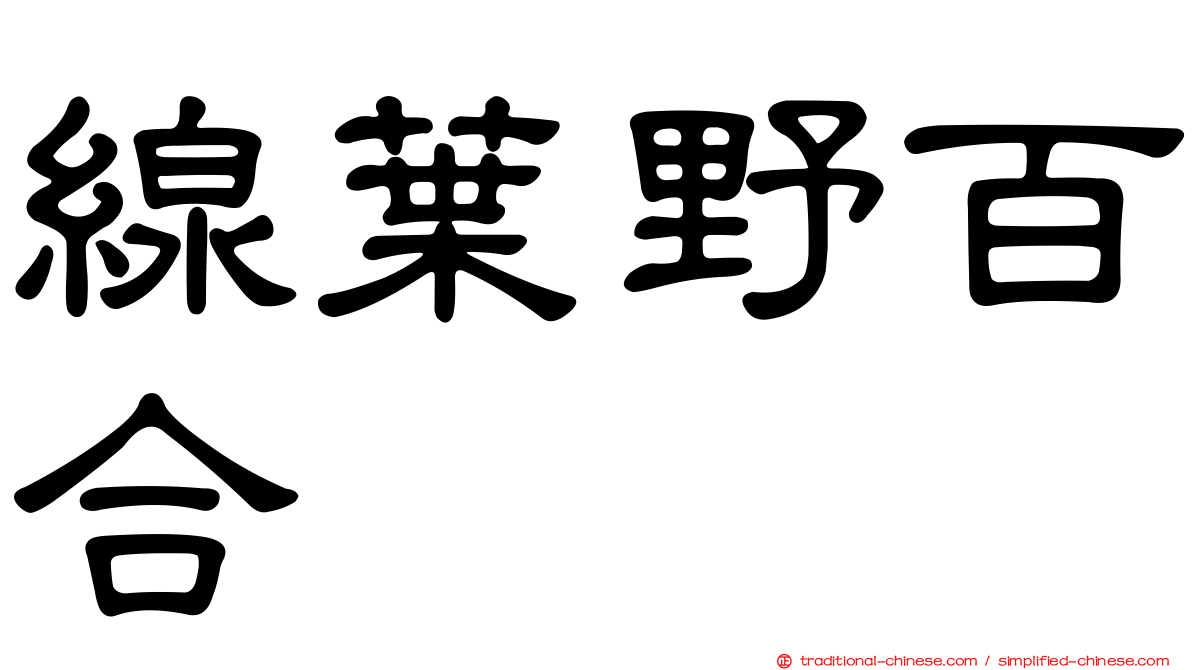 線葉野百合