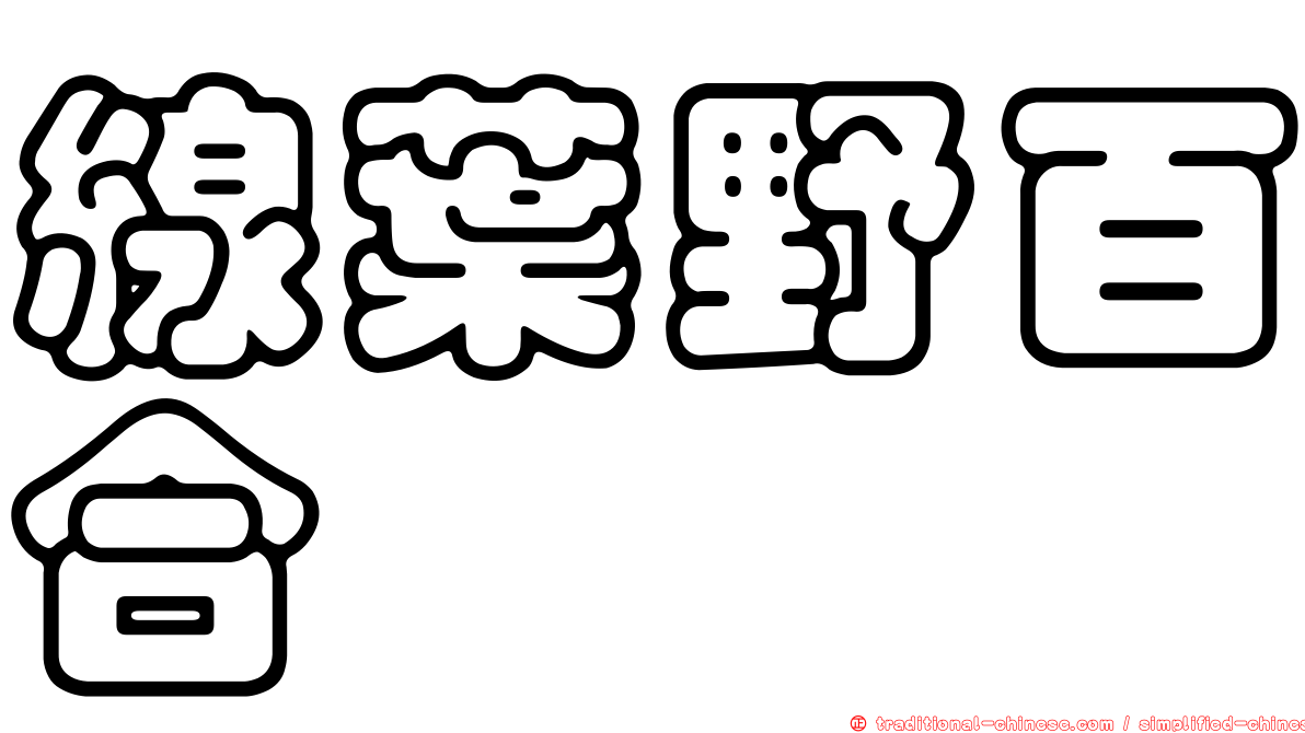 線葉野百合