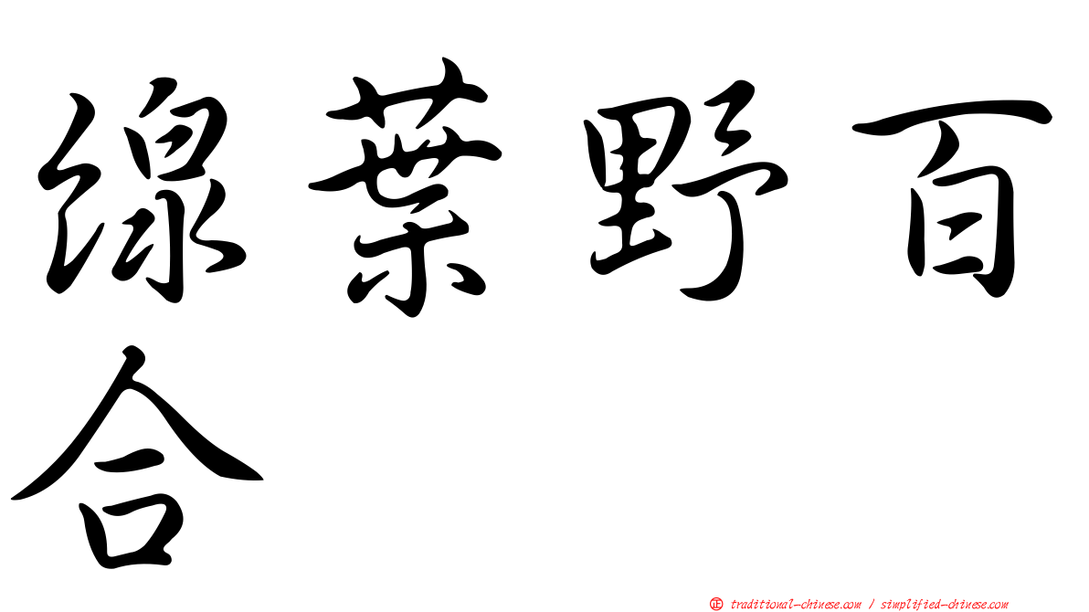 線葉野百合