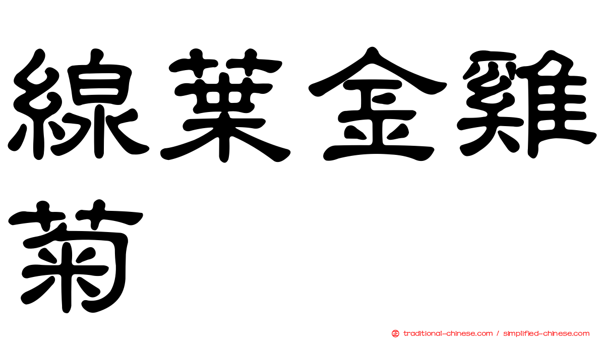 線葉金雞菊