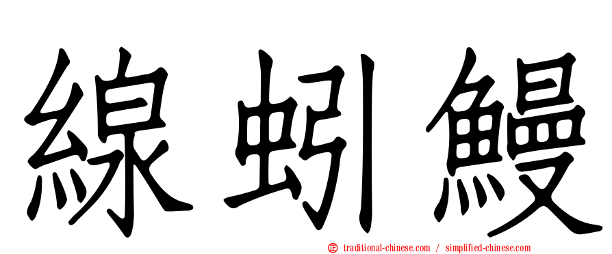 線蚓鰻
