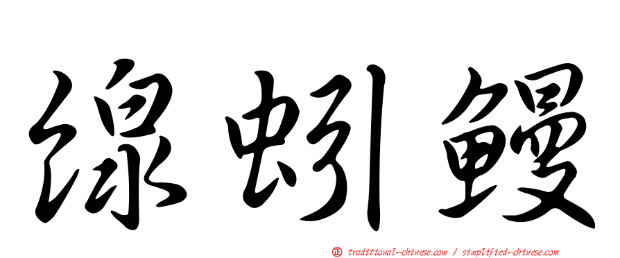 線蚓鰻
