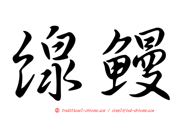 線鰻