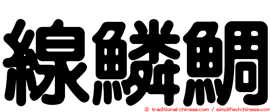 線鱗鯛