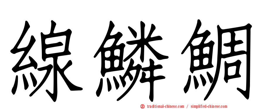 線鱗鯛