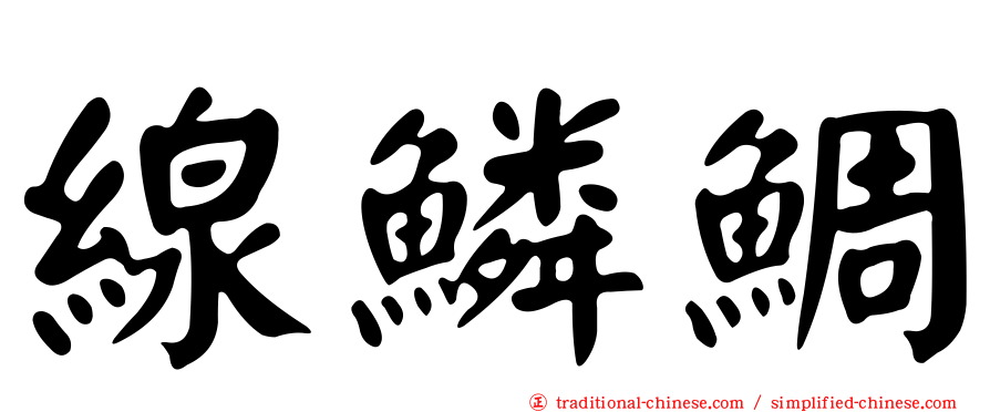 線鱗鯛