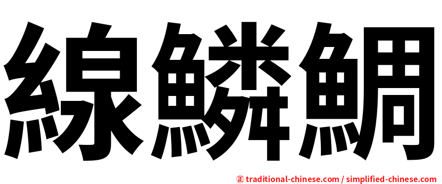 線鱗鯛