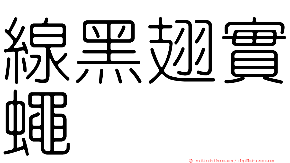 線黑翅實蠅