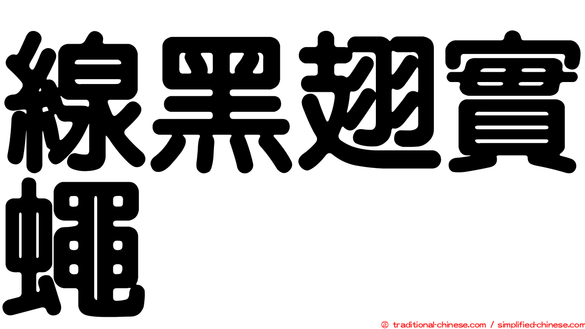 線黑翅實蠅