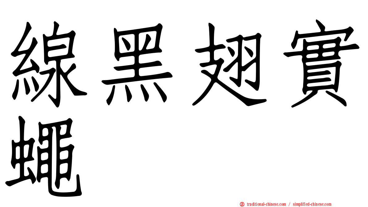 線黑翅實蠅