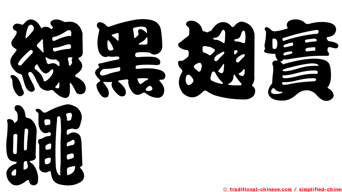 線黑翅實蠅