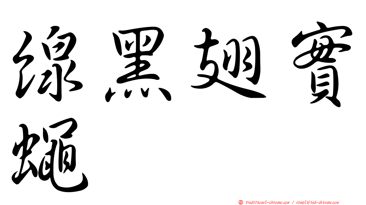 線黑翅實蠅