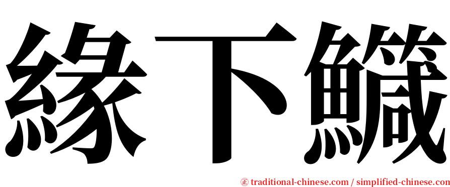 緣下鱵 serif font