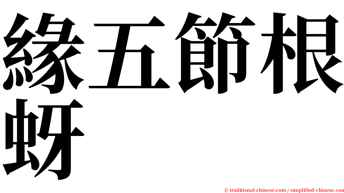緣五節根蚜 serif font
