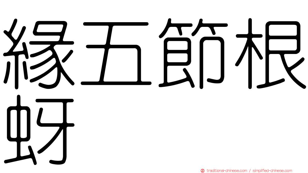 緣五節根蚜