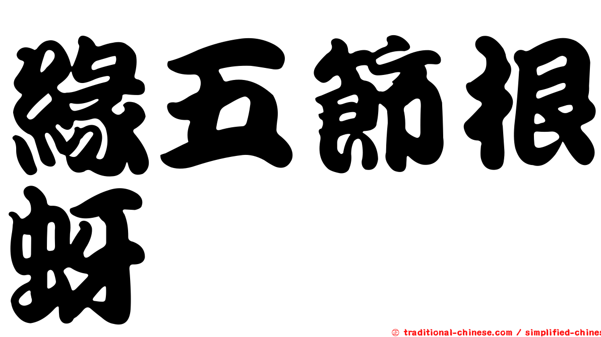 緣五節根蚜