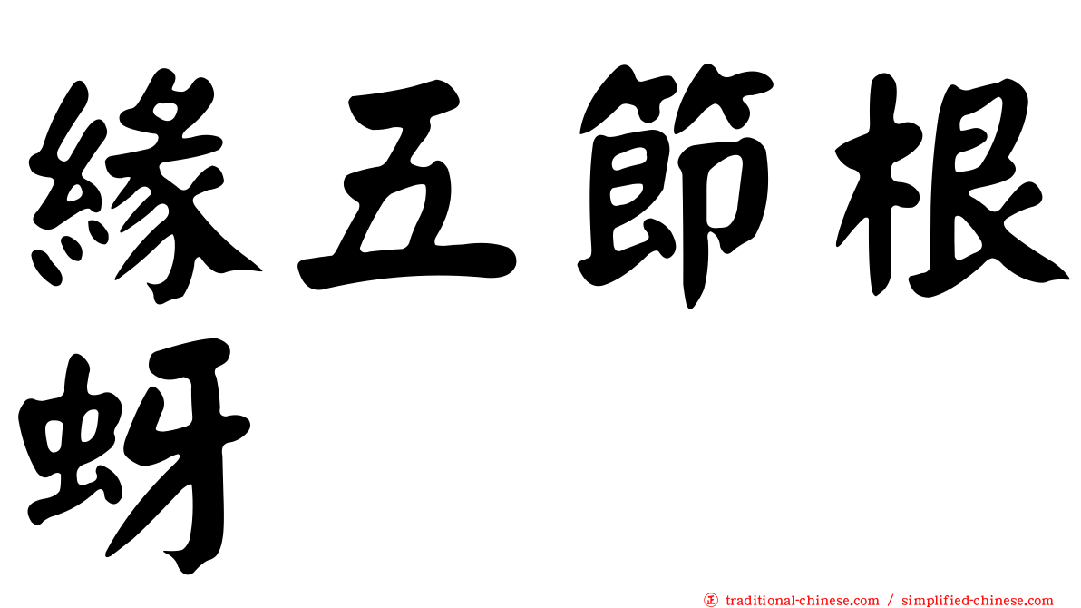 緣五節根蚜