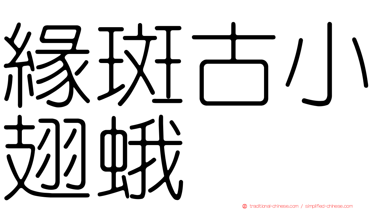 緣斑古小翅蛾