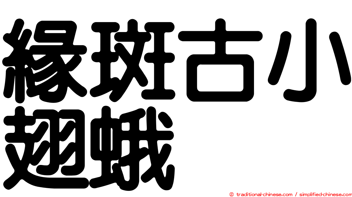 緣斑古小翅蛾