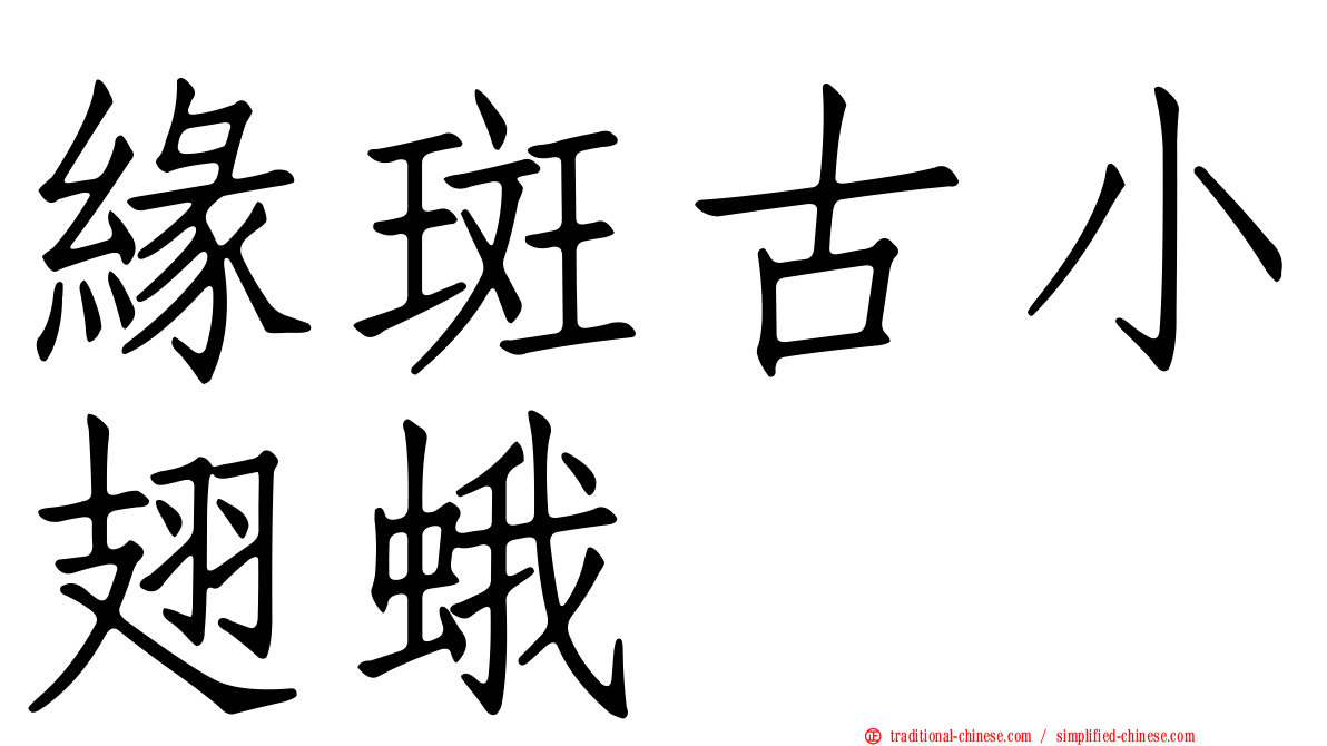 緣斑古小翅蛾