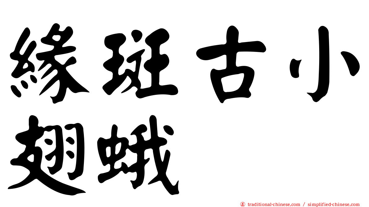 緣斑古小翅蛾