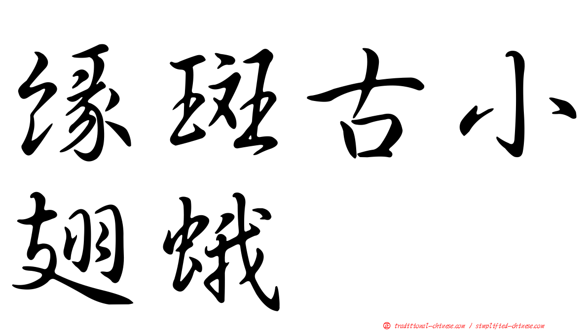 緣斑古小翅蛾