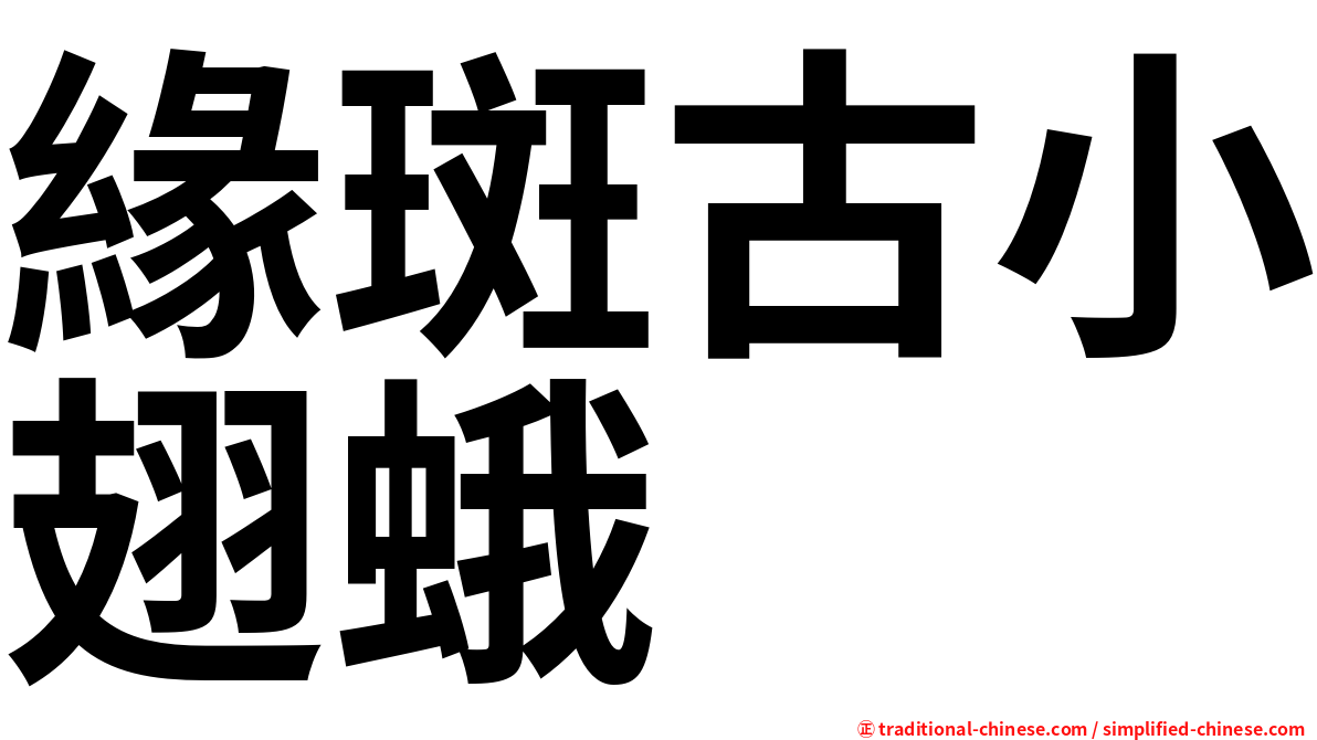 緣斑古小翅蛾