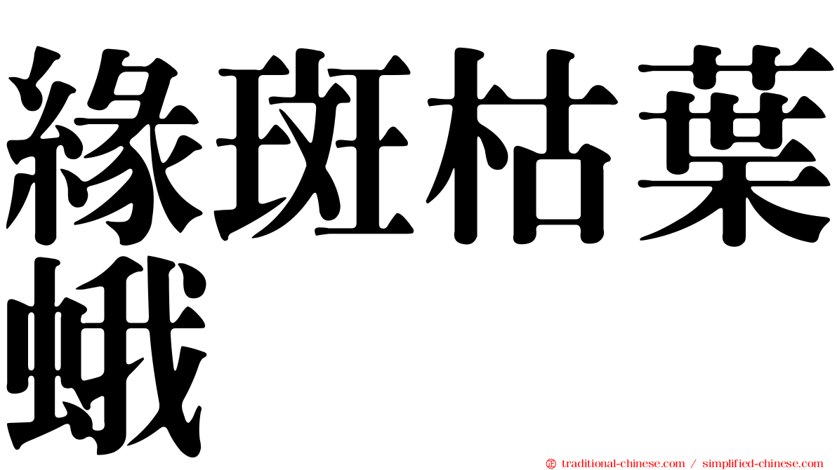 緣斑枯葉蛾