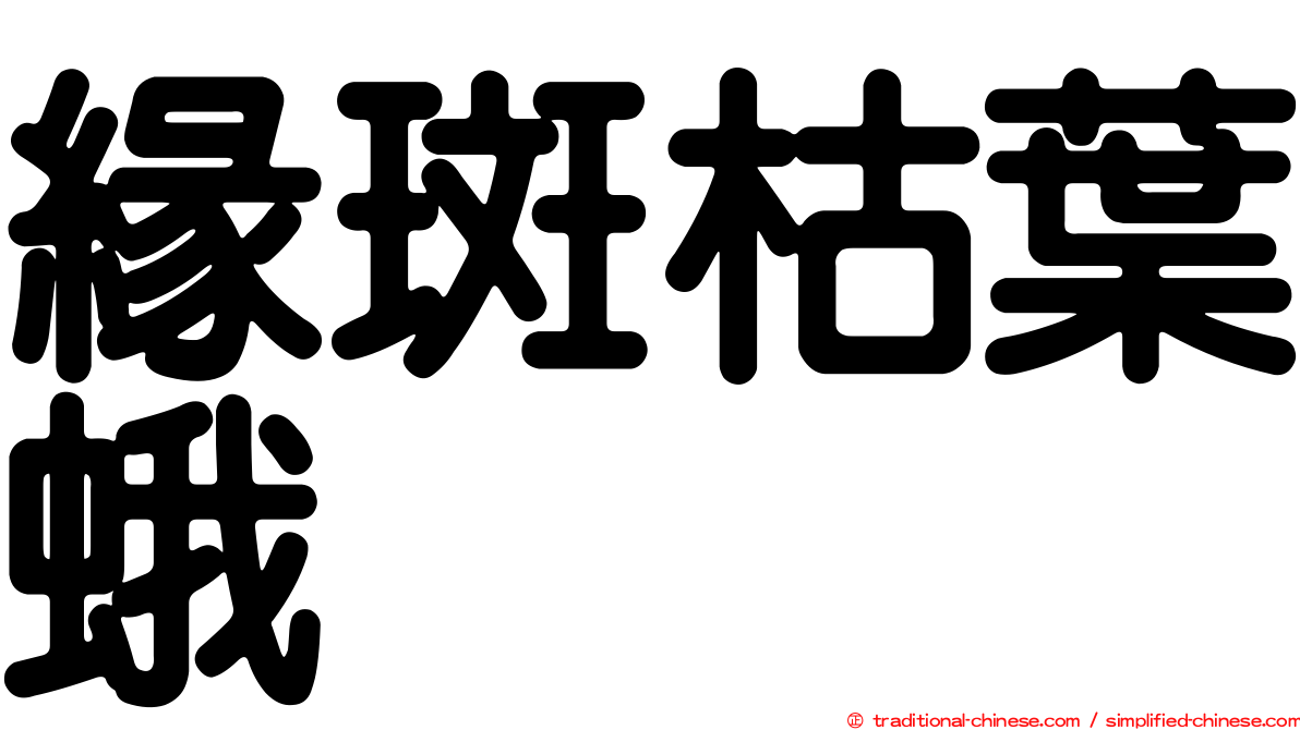 緣斑枯葉蛾