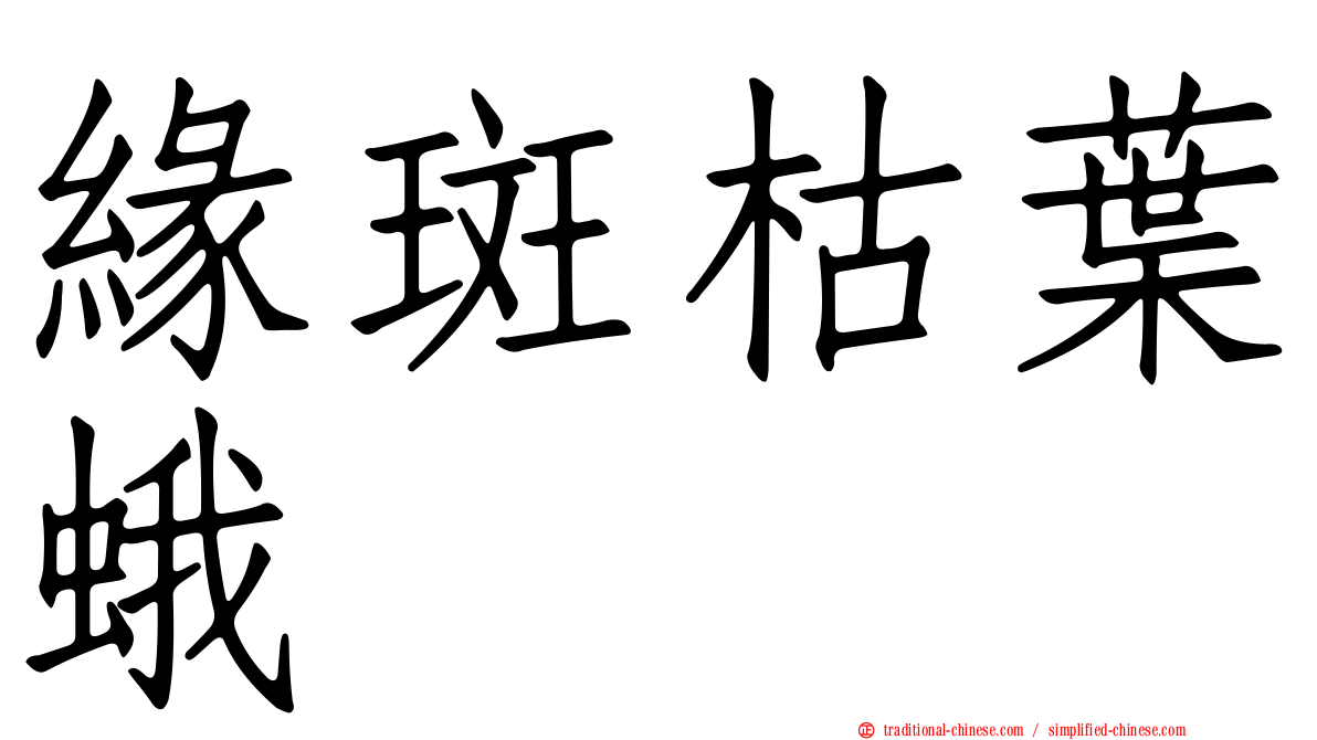 緣斑枯葉蛾