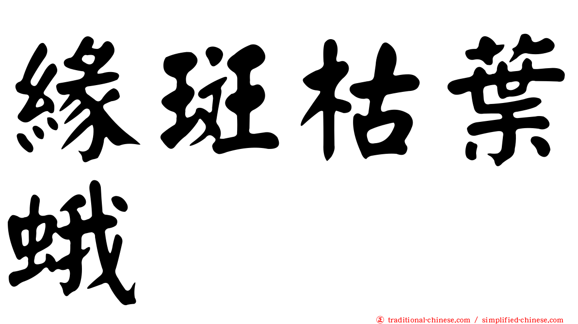 緣斑枯葉蛾